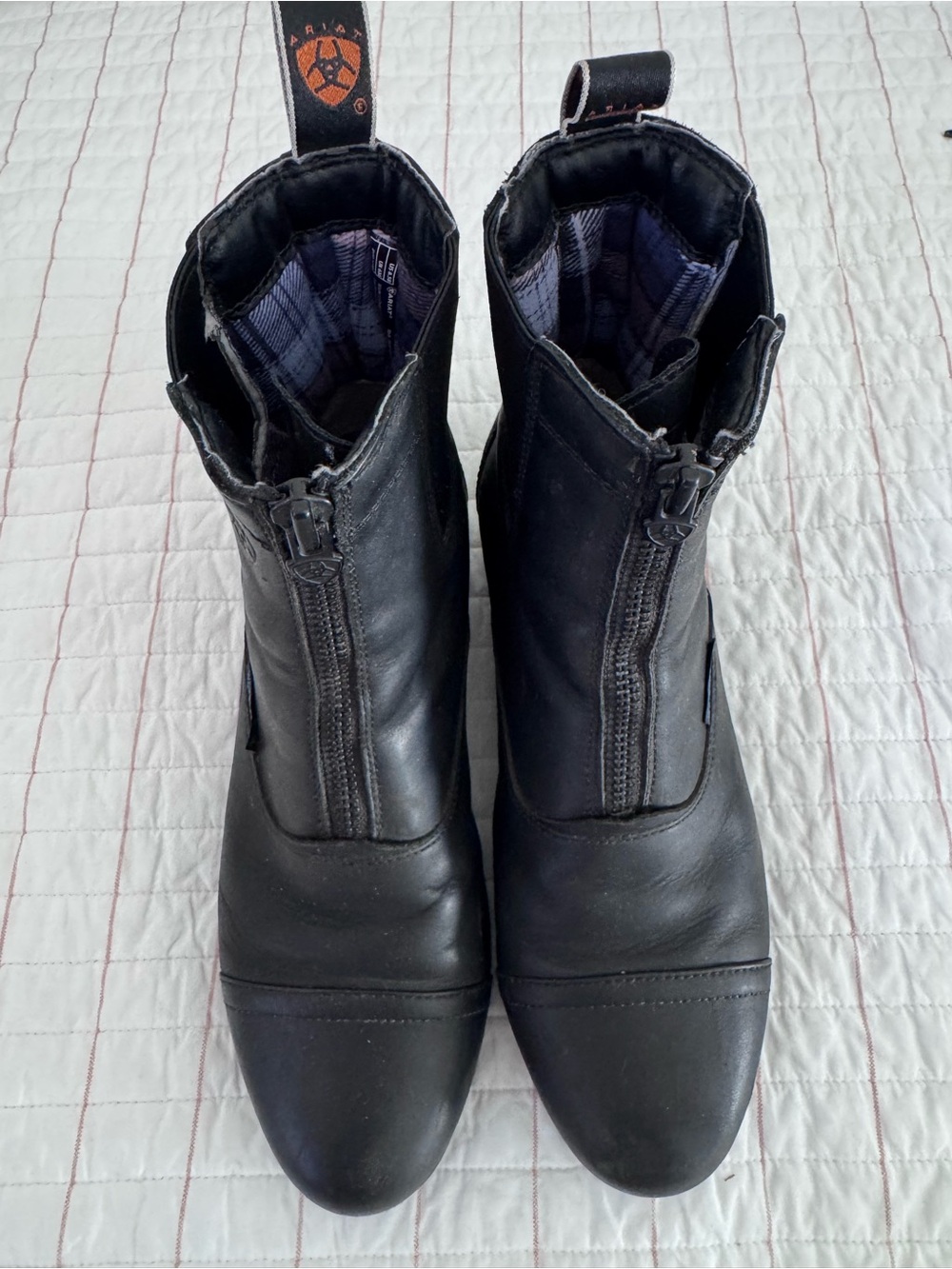 Ariat Womens Paddock Riding Boots Black Leather Zip Insulated Waterproof  Sz8.5B